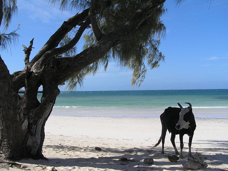 Booking Hotels in Madagascar